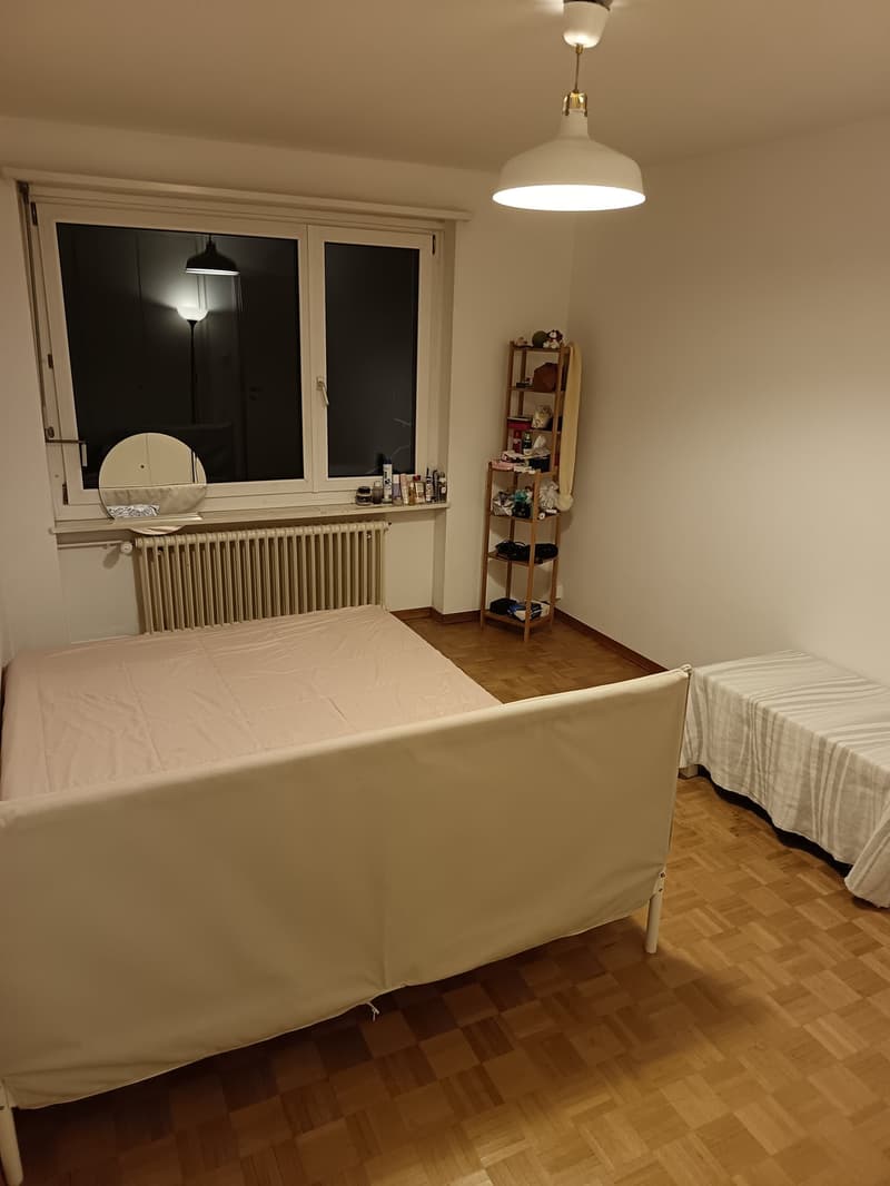 Chambre à louer dans un appartement commun de bonne taille (1)