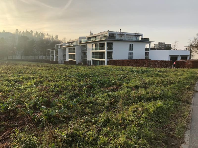 Exklusive 3.5-Zimmer-Wohnung in Zollikerberg (2)