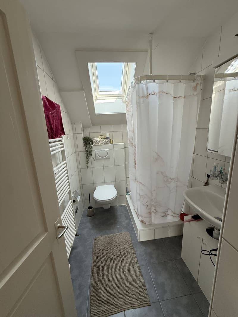 Bright 3-room attic apartment with beautiful views (8)