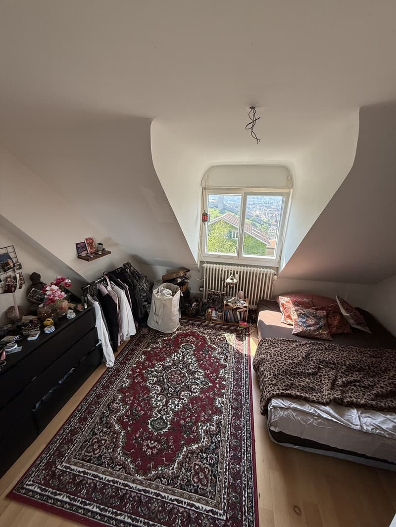 Bright 3-room attic apartment with beautiful views (1)
