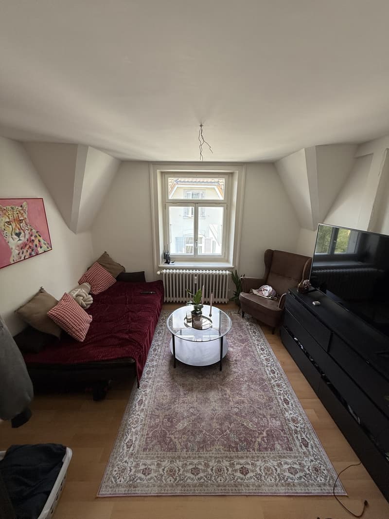 Bright 3-room attic apartment with beautiful views (2)
