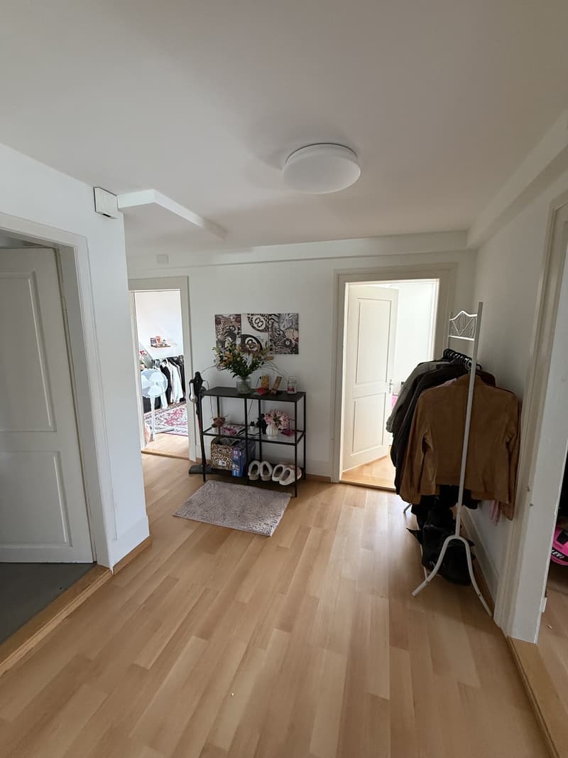 Bright 3-room attic apartment with beautiful views (7)