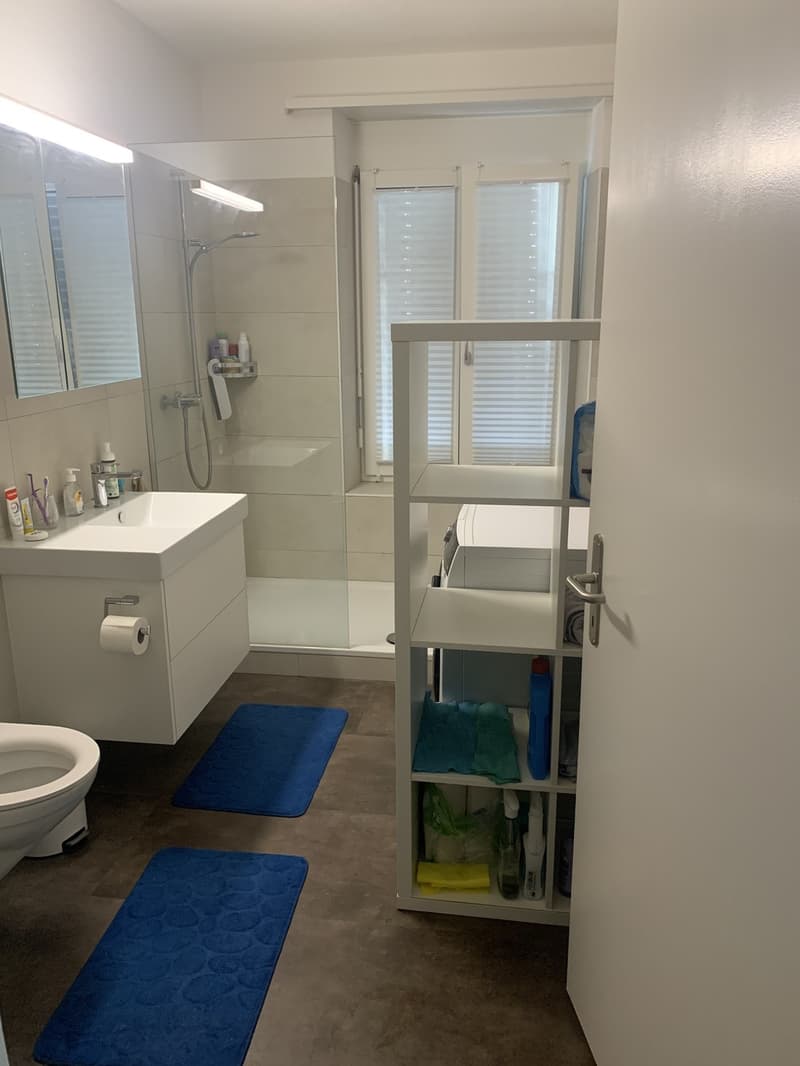 1 room apartment, 8008 Zurich (3)