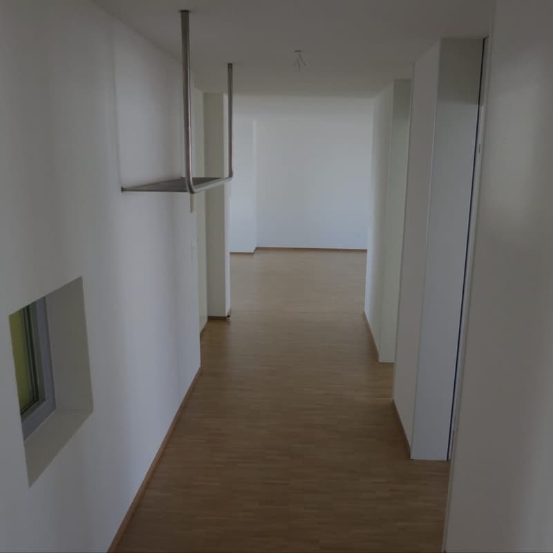Chambre spacieuse dans un appartement familial de 5,5 pièces au centre d'Oerlikon (3)