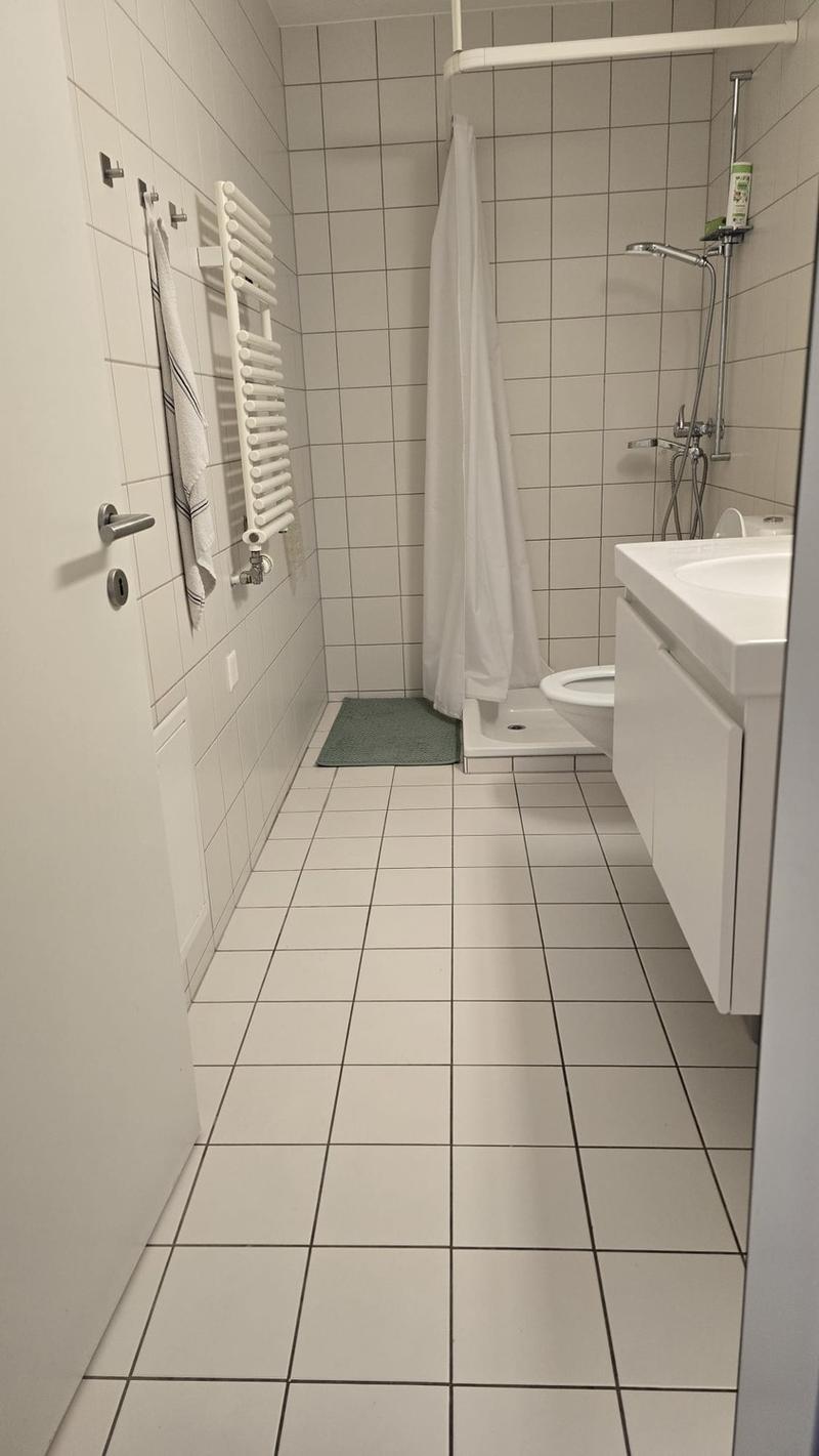 Chambre spacieuse dans un appartement familial de 5,5 pièces au centre d'Oerlikon (6)