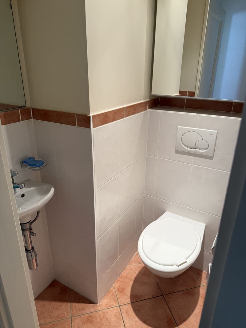 Übernahme des Mietvertrags - 3 Zimmer 69 m² mit Balkon in Lutry (7)
