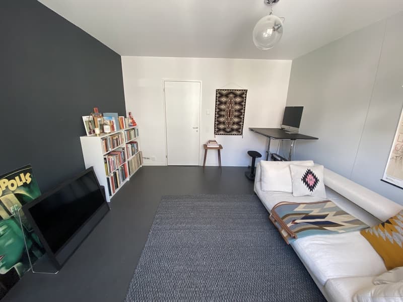 Appartement central dans le district 1 (3)