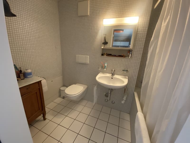 Appartement central dans le district 1 (9)