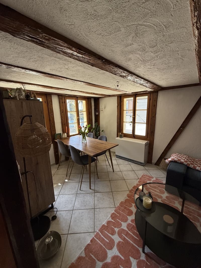 Cozy 2-room maisonette apartment in a rustic chalet, top location at Immensee village square (1)