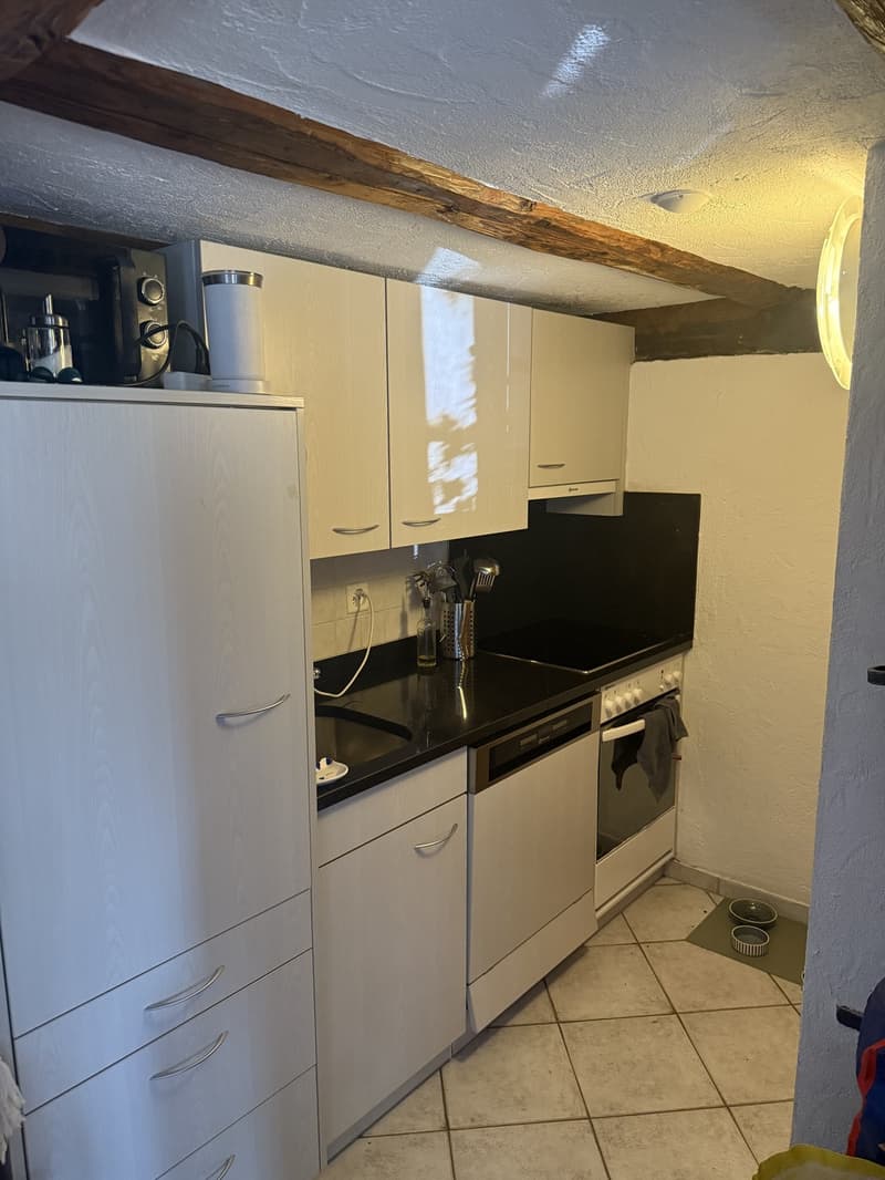 Cozy 2-room maisonette apartment in a rustic chalet, top location at Immensee village square (4)