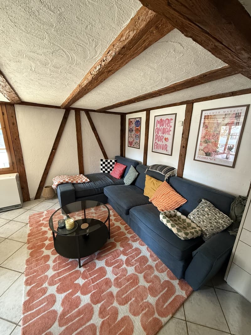 Cozy 2-room maisonette apartment in a rustic chalet, top location at Immensee village square (3)