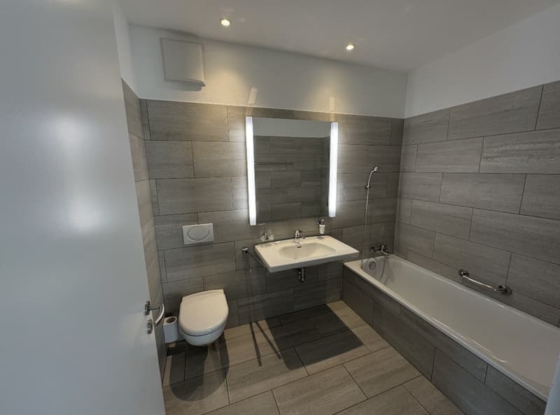 Appartement attique 3,5 pièces (11)