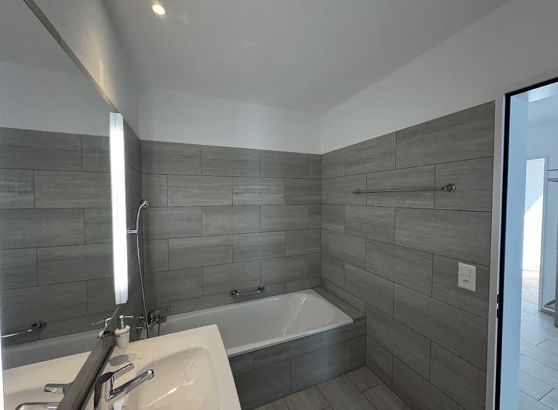 Appartement attique 3,5 pièces (7)