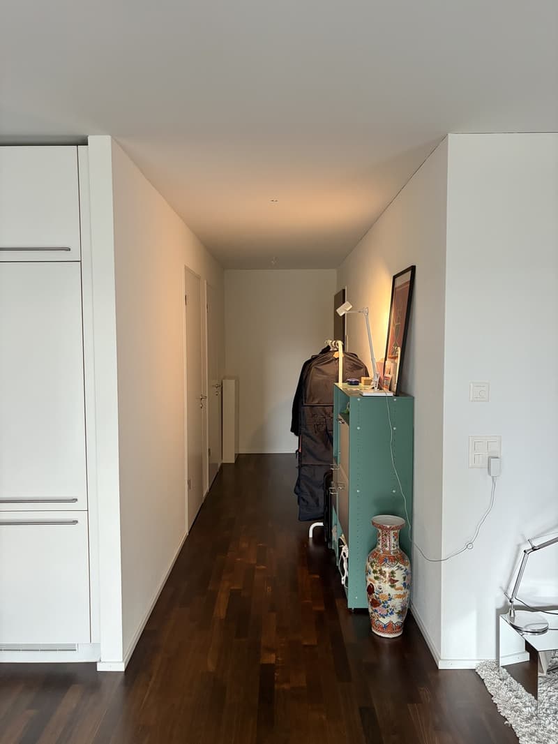 Moderne und helle Wohnung im Kreis 5 (7)