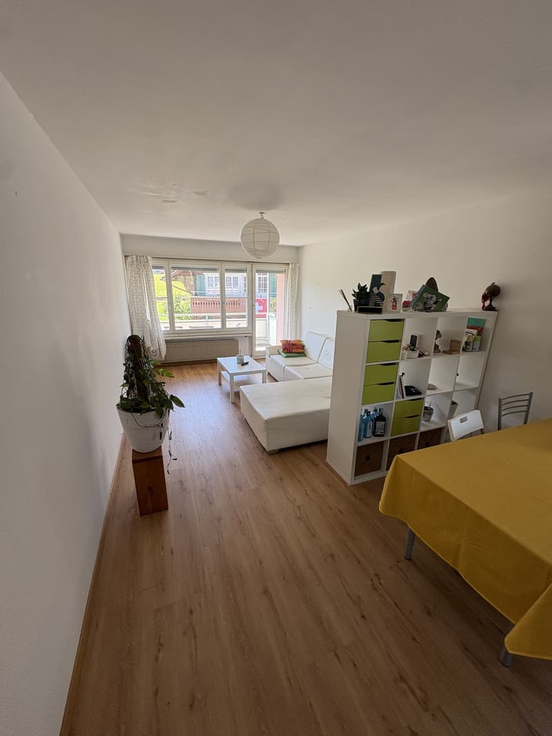 Chambre à louer dans un appartement de 3,5 pièces à Rotkreuz. Recherche d'une personne (maximum de 2 personnes au total dans le ménage). (5)