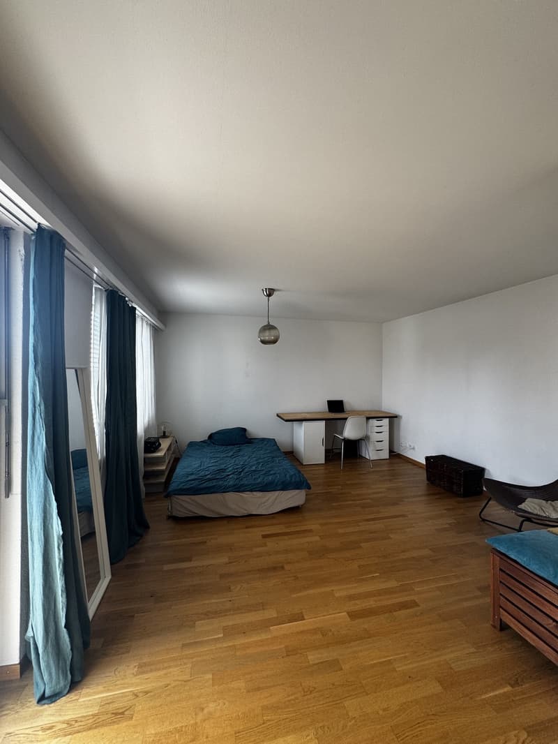 Appartement 1.5 pièces dans un excellent emplacement à Zurich (1)