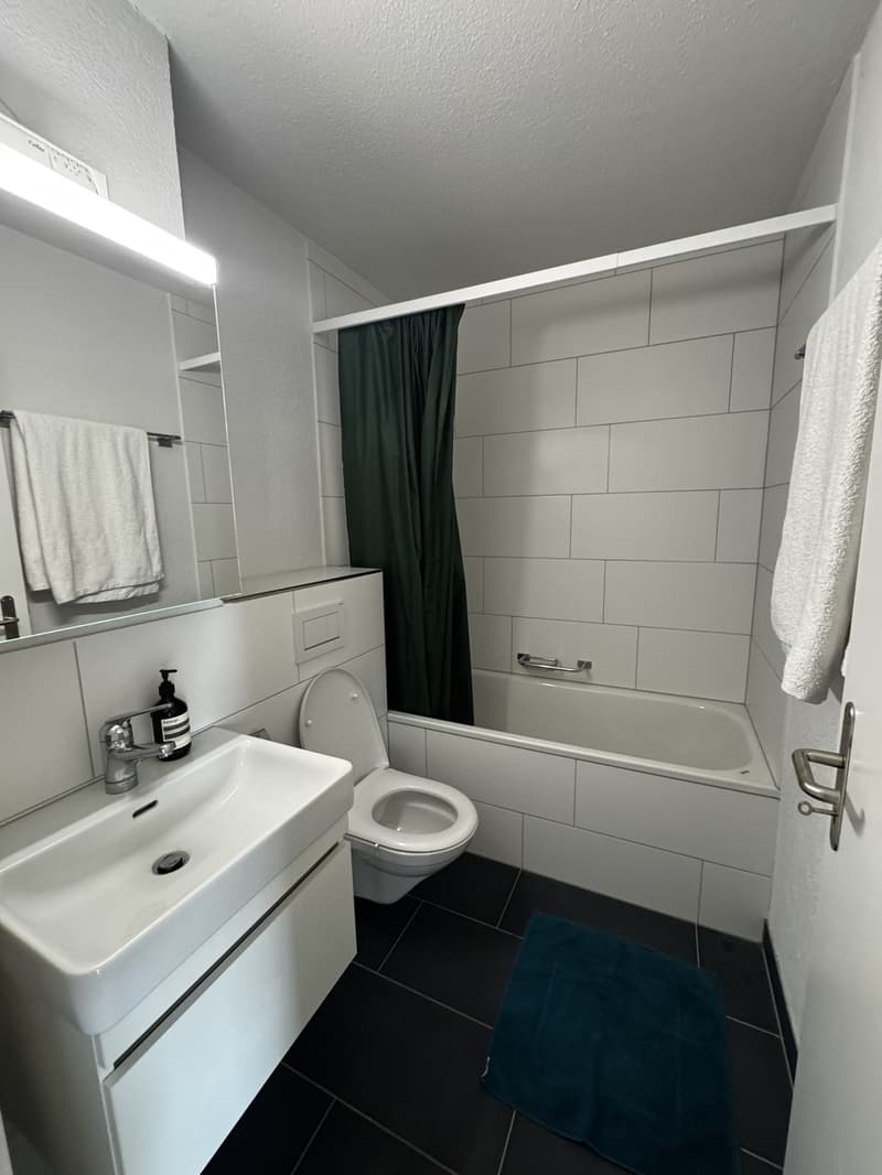 Appartement 1.5 pièces dans un excellent emplacement à Zurich (4)