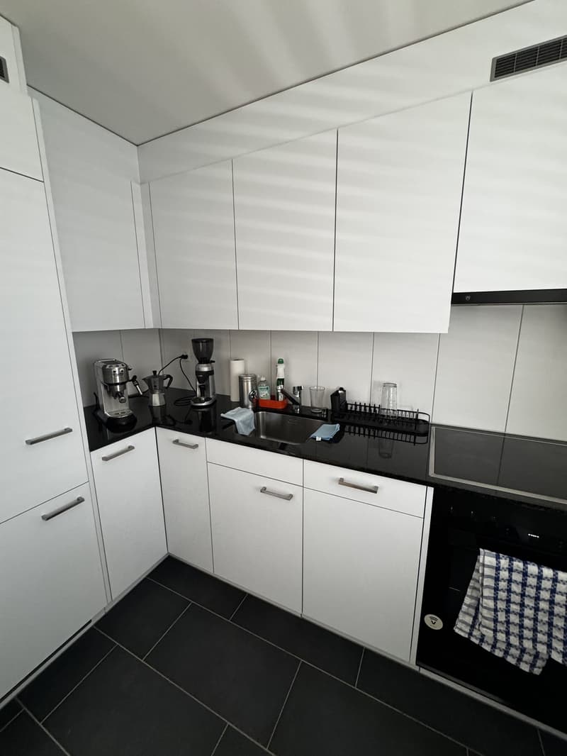 Appartement 1.5 pièces dans un excellent emplacement à Zurich (6)
