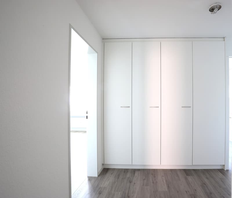 Appartement familial de 4,5 pièces baigné de lumière dans un quartier calme (3)