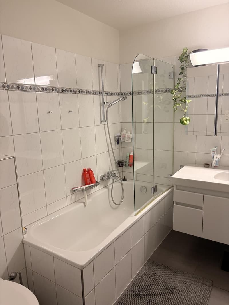 Bel appartement de ville de 3,5 pièces à Zurich en sous-location temporaire du 01.10.2026 au 31.01.2027 (7)
