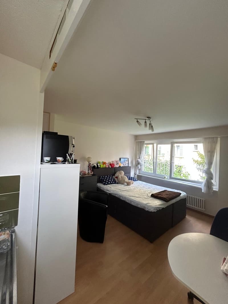 1-Zimmer-Wohnung im Seefeld zu vermieten (2)
