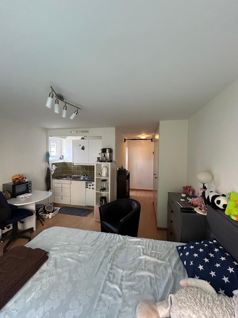 1-Zimmer-Wohnung im Seefeld zu vermieten (5)