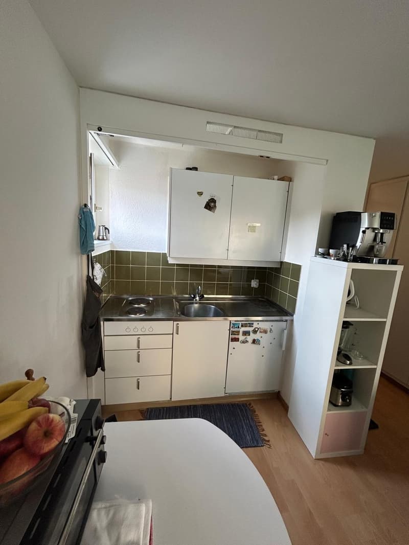 1-Zimmer-Wohnung im Seefeld zu vermieten (6)