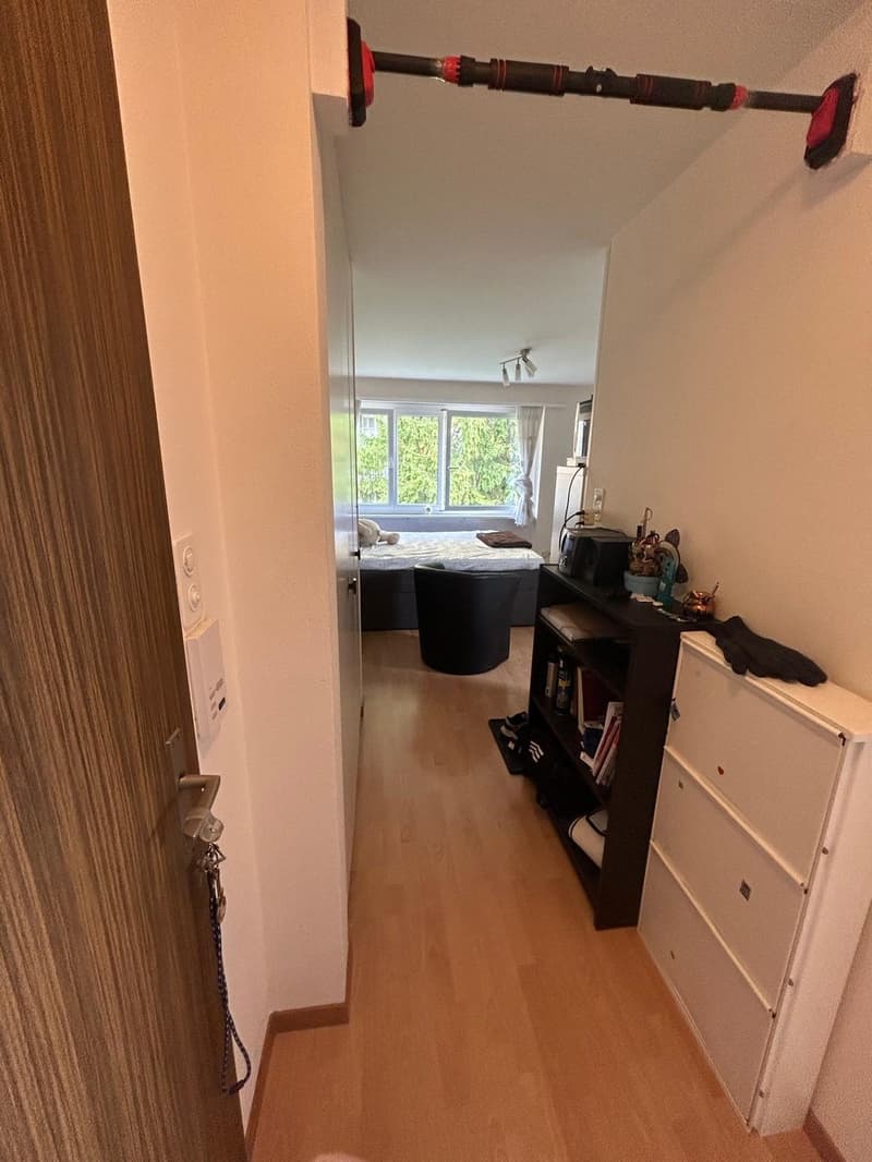1-Zimmer-Wohnung im Seefeld zu vermieten (8)