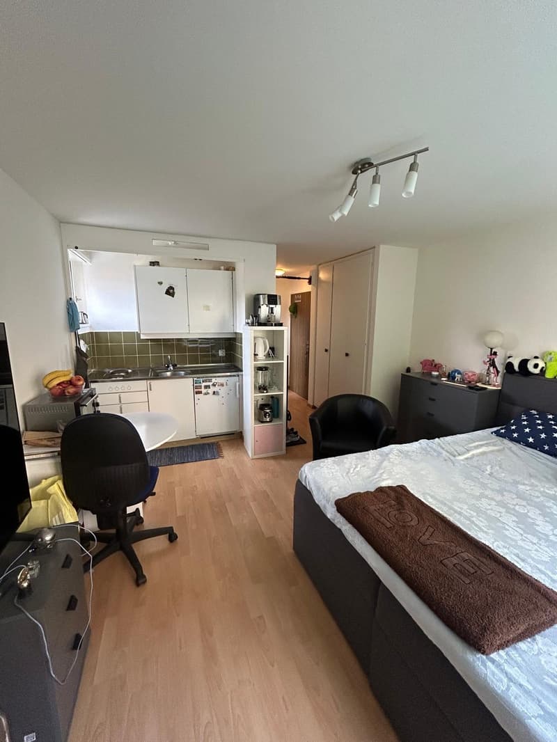 1-Zimmer-Wohnung im Seefeld zu vermieten (3)