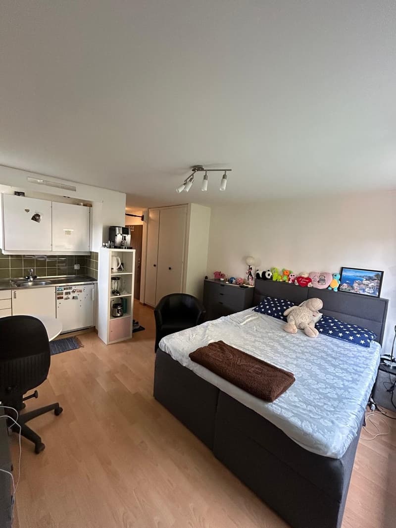 1-Zimmer-Wohnung im Seefeld zu vermieten (1)