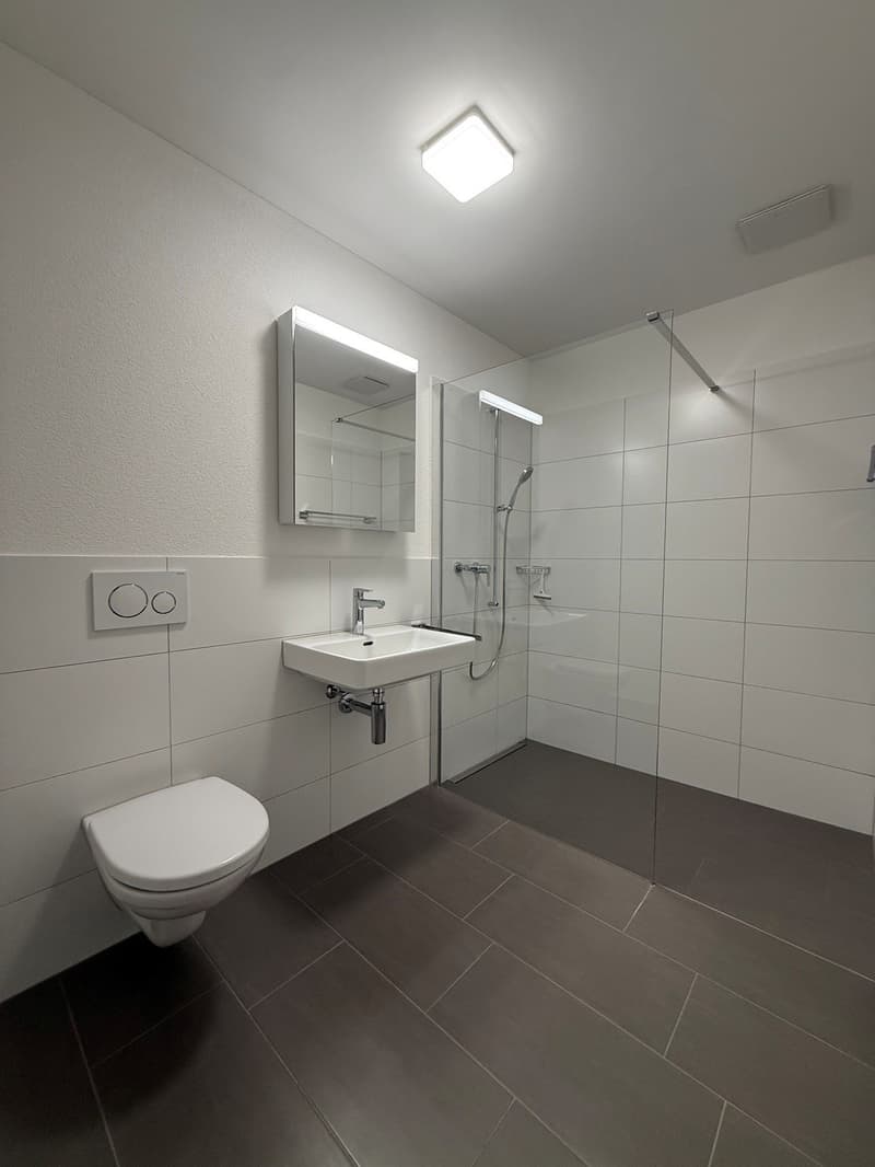 4 ½ rooms apartment, 6037 Root (2)