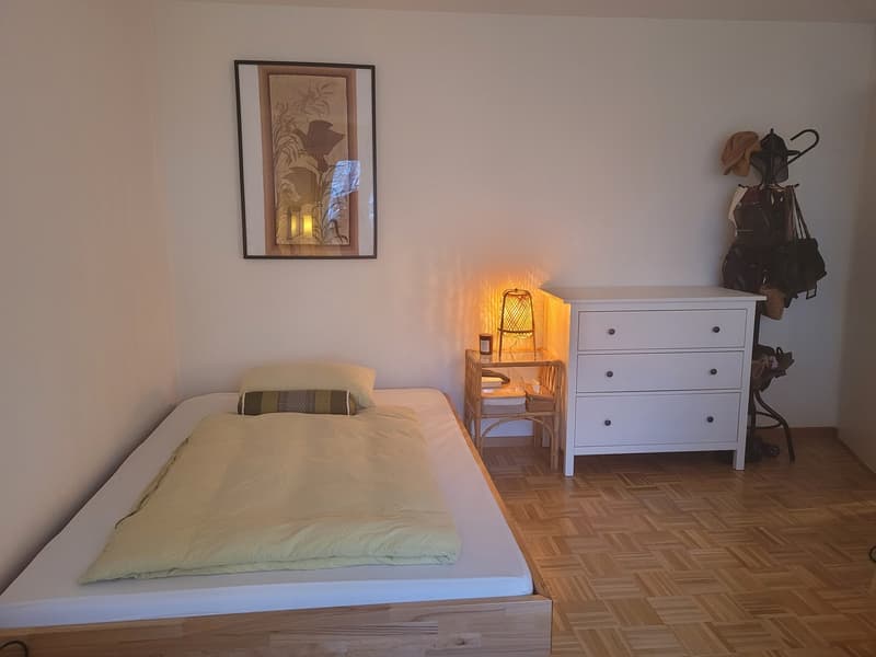 Charmant appartement 1.5 pièces à Oerlikon, idéal comme solution temporaire ! TEMPS LIMITÉ ! (3)