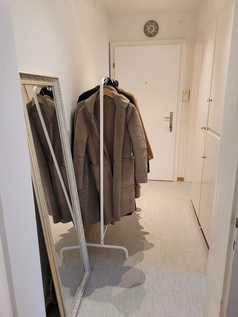Charmant appartement 1.5 pièces à Oerlikon, idéal comme solution temporaire ! TEMPS LIMITÉ ! (8)