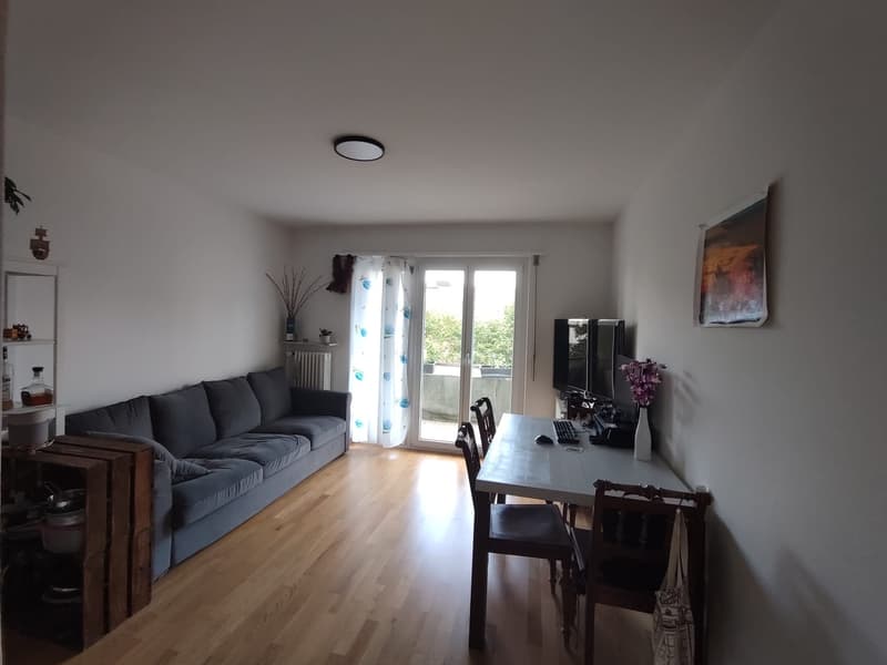 Appartement 2.5 pièces - Sous-locataire recherché à partir du 01.09.2026 (1)