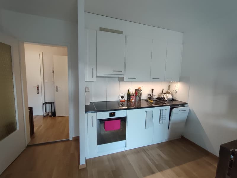 Appartement 2.5 pièces - Sous-locataire recherché à partir du 01.09.2026 (2)
