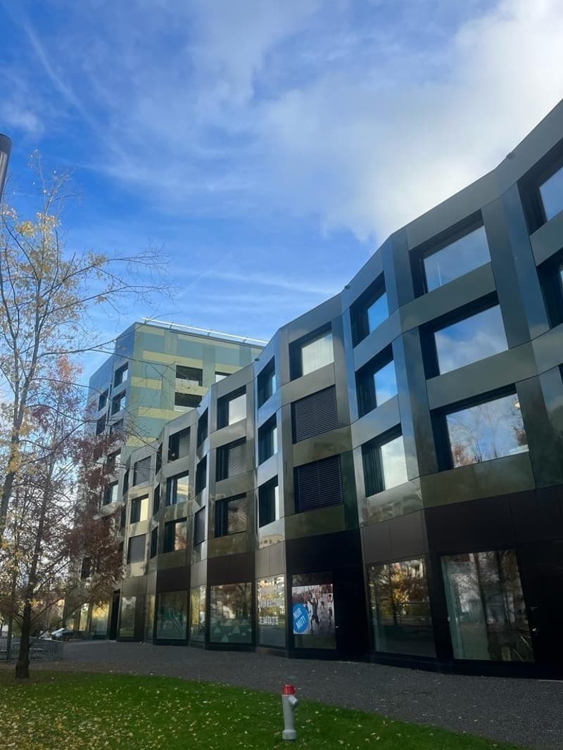 Modern 2.5-Bedroom Apartment with Stunning Views Available for December and January in Zurich! (8)