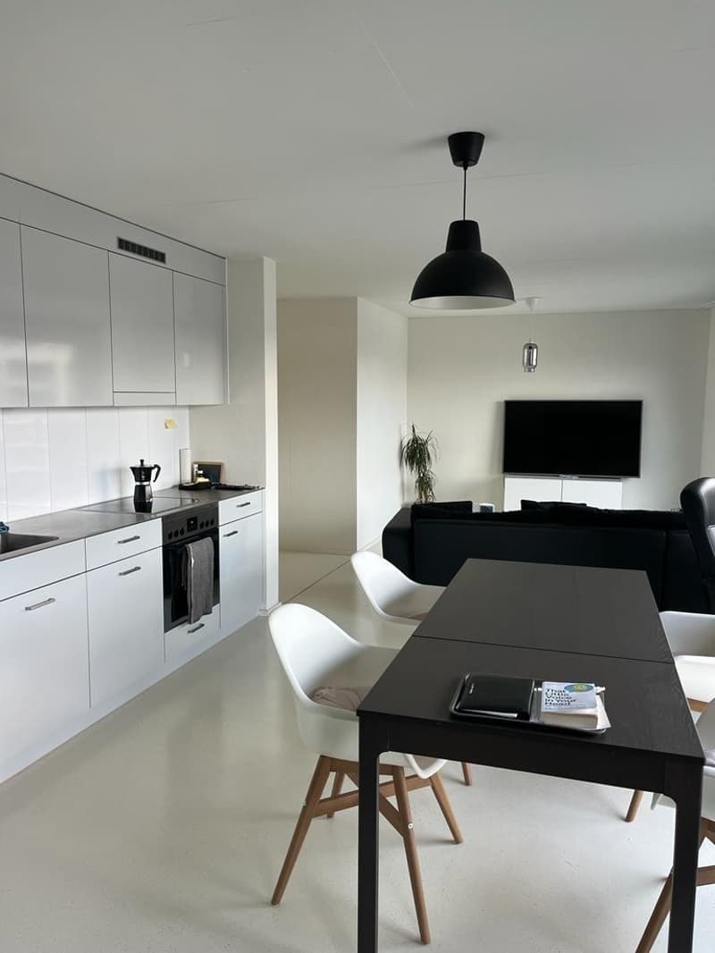 Modern 2.5-Bedroom Apartment with Stunning Views Available for December and January in Zurich! (3)