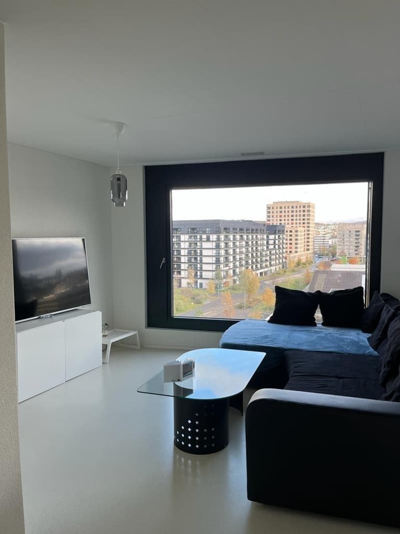 Modern 2.5-Bedroom Apartment with Stunning Views Available for December and January in Zurich! (2)