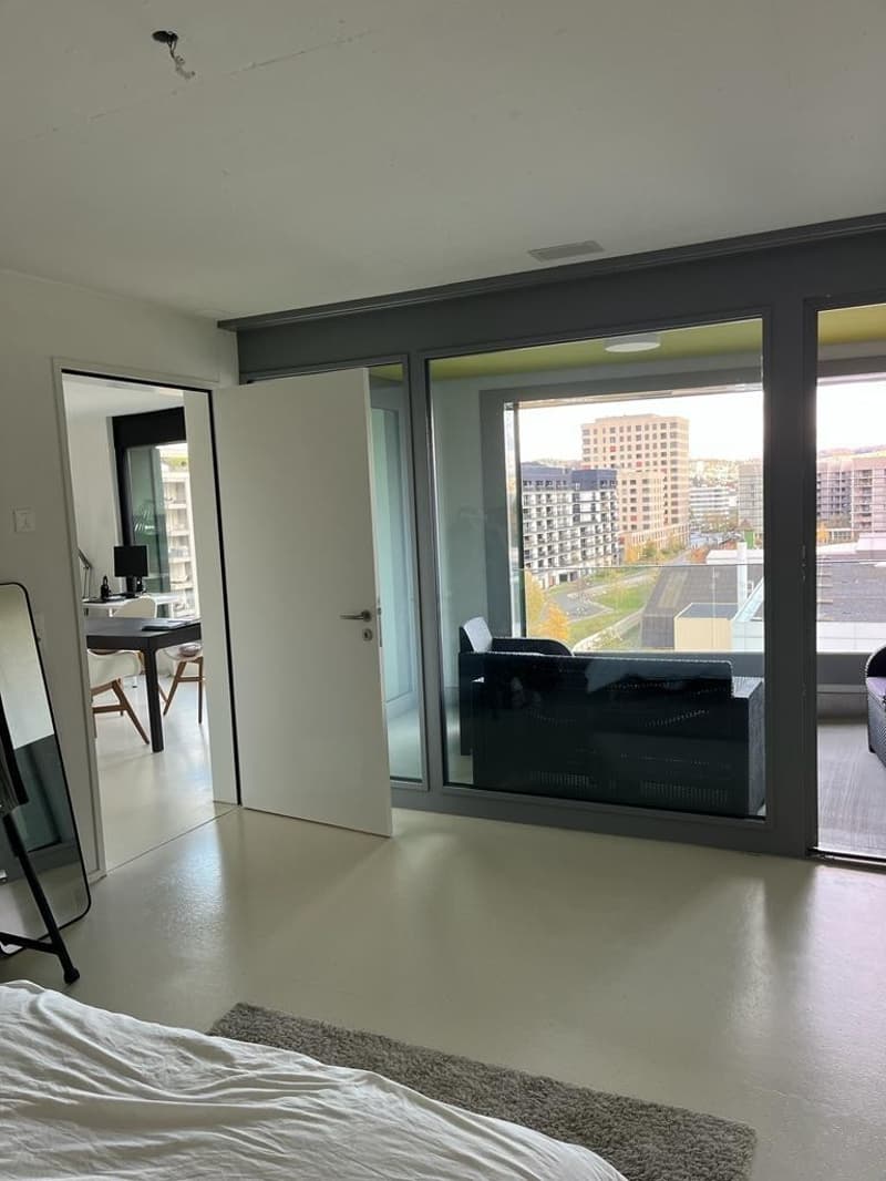 Modern 2.5-Bedroom Apartment with Stunning Views Available for December and January in Zurich! (5)
