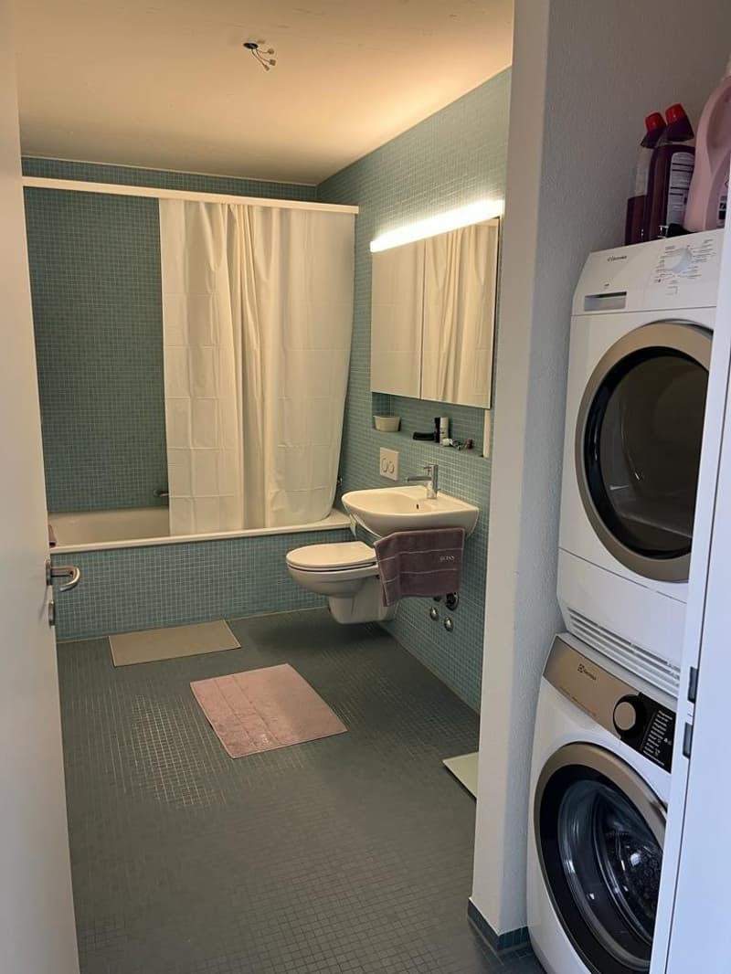 Modern 2.5-Bedroom Apartment with Stunning Views Available for December and January in Zurich! (7)