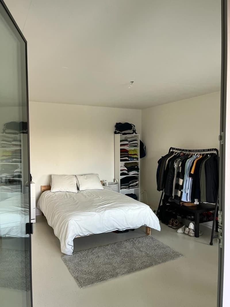 Modern 2.5-Bedroom Apartment with Stunning Views Available for December and January in Zurich! (4)