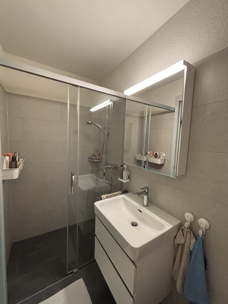 1.5 Room Apartment (9)