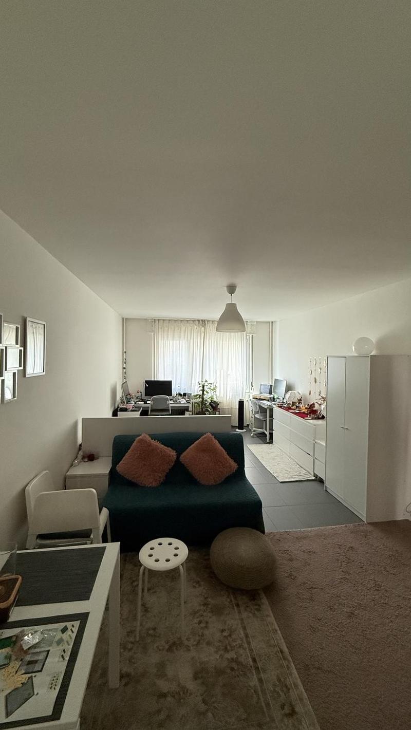 Apartment to Rent in Geneva (1)