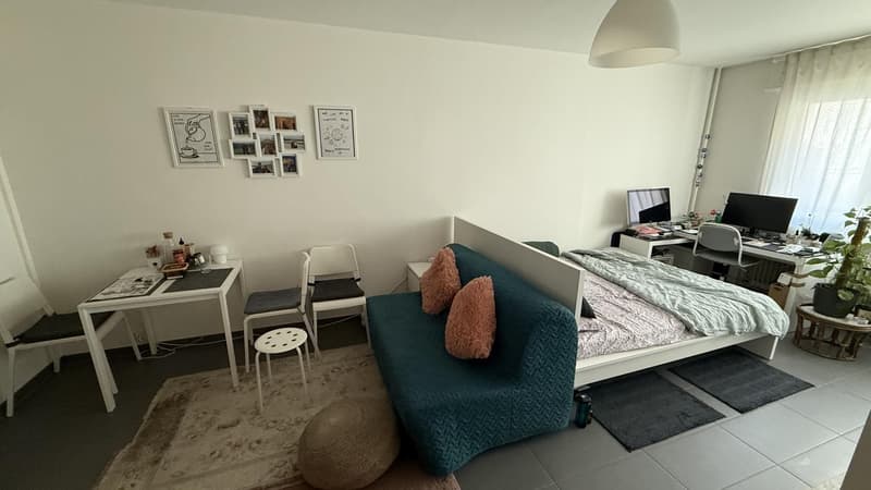 Apartment to Rent in Geneva (2)