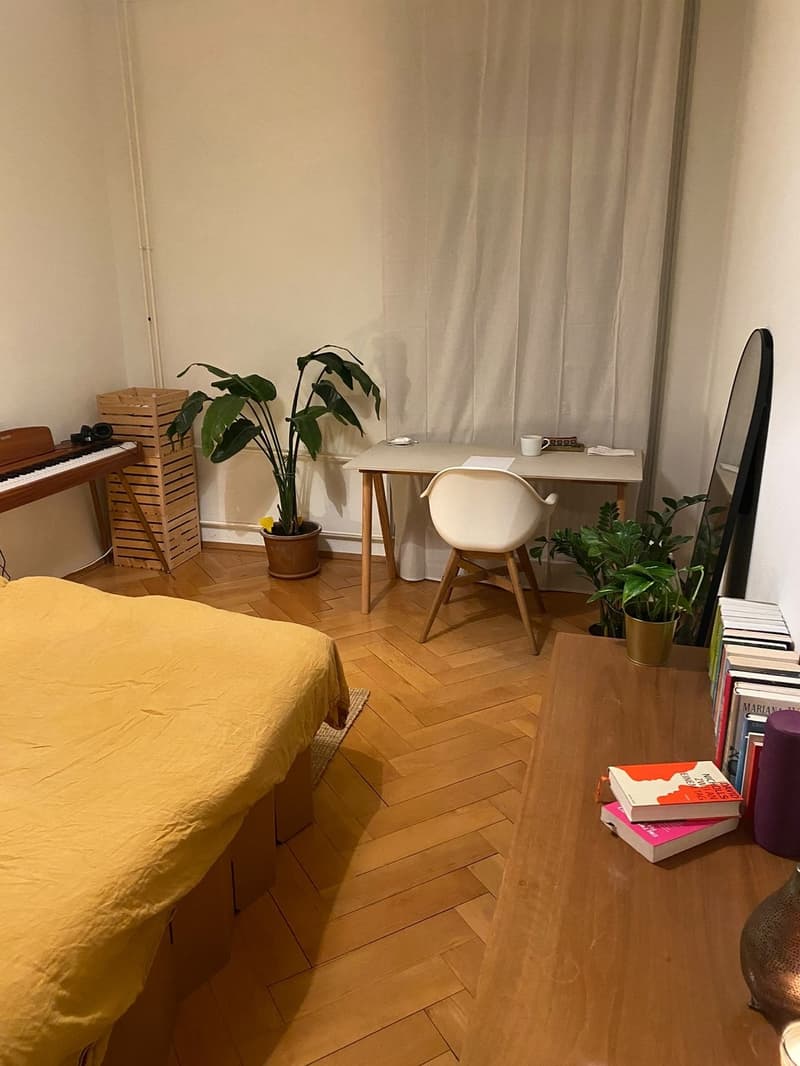 Zimmer in gemütlicher 3er WG (3)