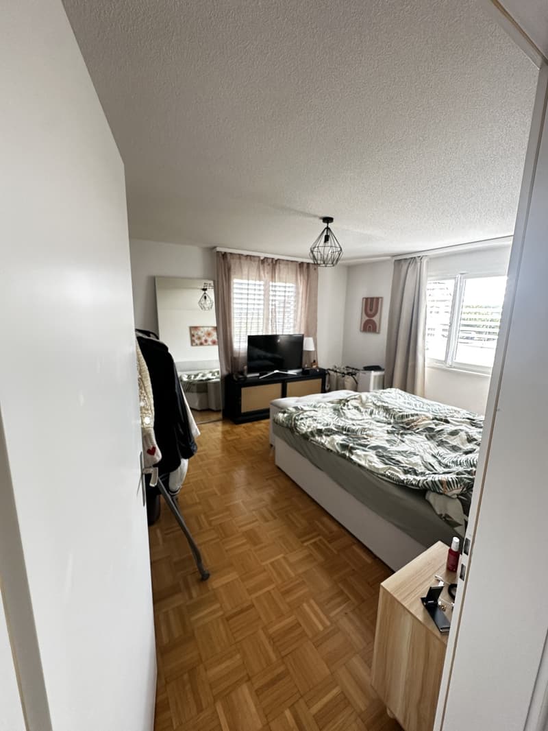 Charmant appartement 3,5 pièces à Schmitten (9)
