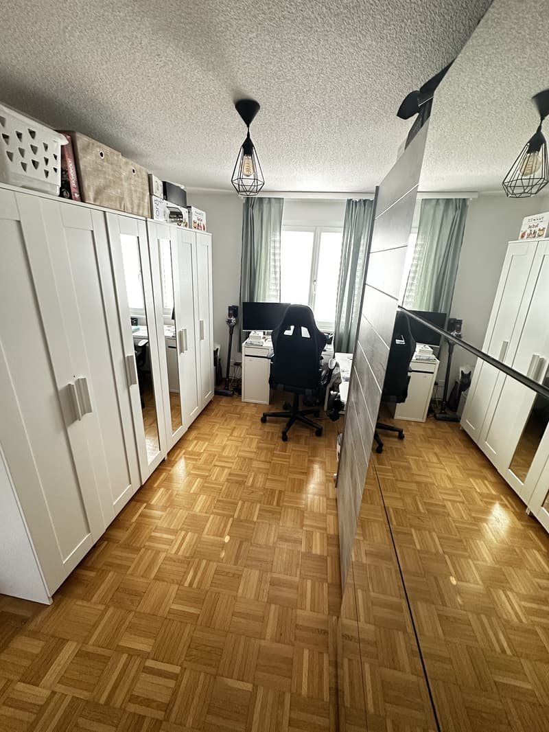 Charmant appartement 3,5 pièces à Schmitten (7)
