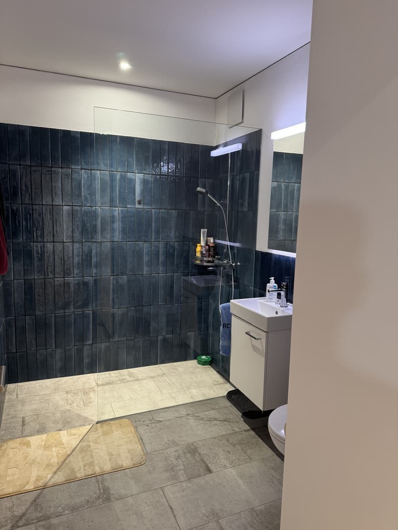 Bright 2.5-room apartment in a quiet location (7)