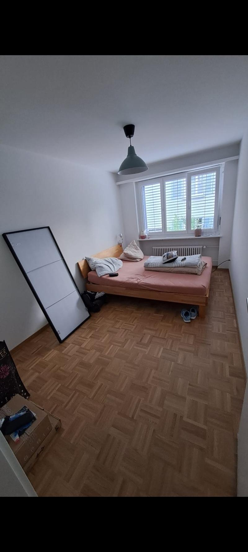 3 Bedroom Apartment, 8404 Winterthur (2)