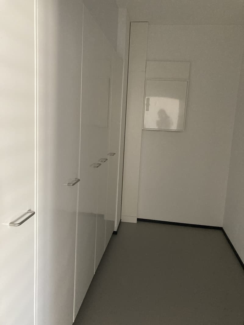 2.5 Zimmer Wohnung an der Gertrudstrasse (5)